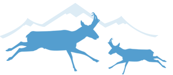 Pronghorn in front of mountains