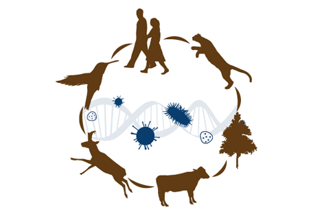 Disease Ecology course logo