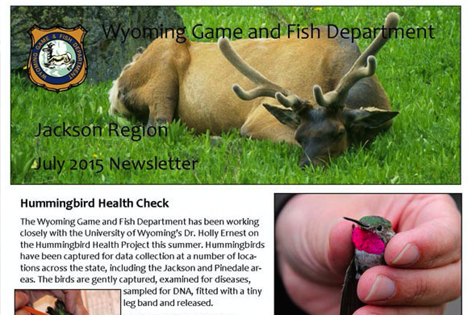 thumbnail of wyoming game and fish newsletter