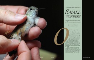 Small Wonders Article thumbnail