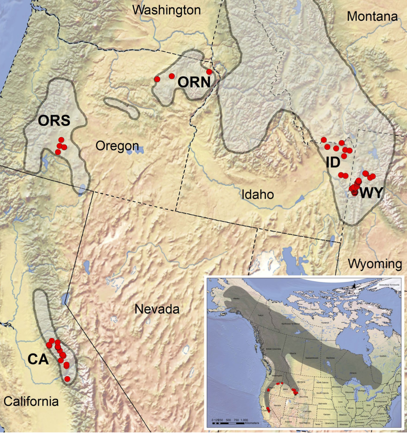 The southern part of the Great Gray Owl breeding range in the western US.